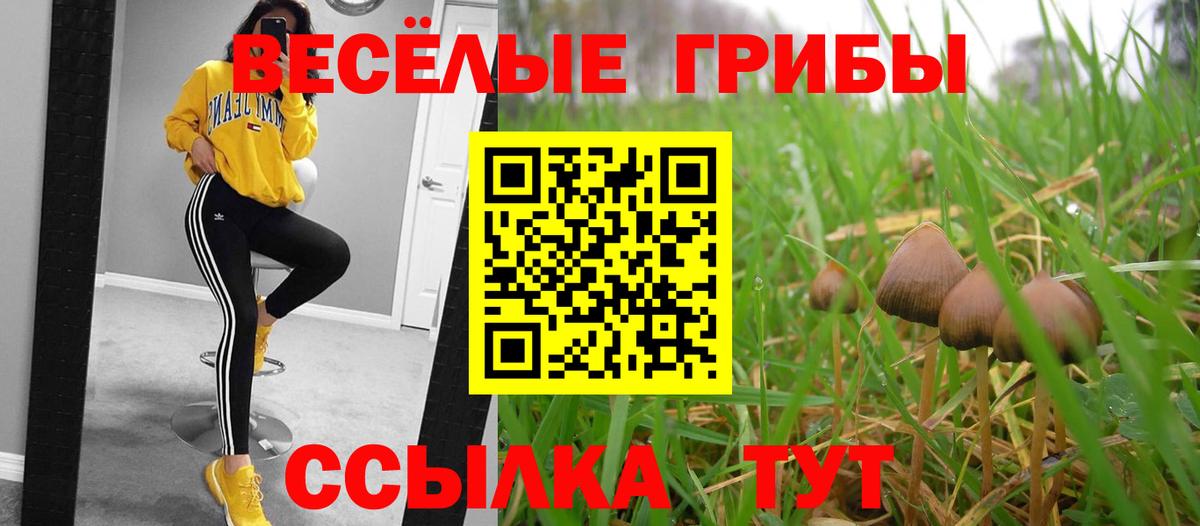 Псилоцибиновые грибы MAGIC MUSHROOMS Ковров